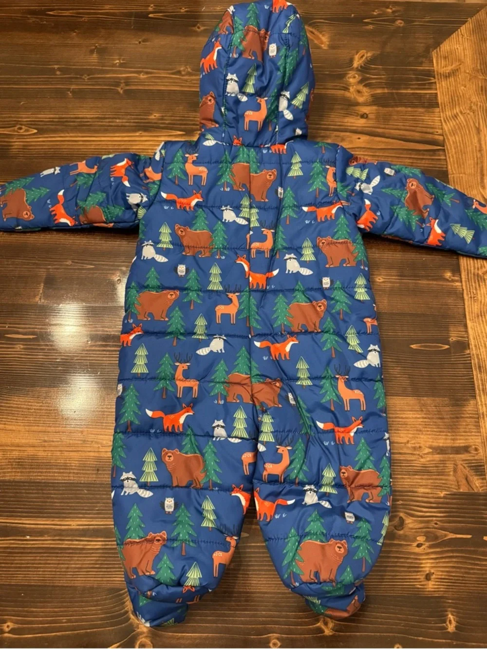 The Children's Place Blue Woodland Animal Fleece Lined Snowsuit 6-9 Mos